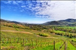 View of the Valley of Munster